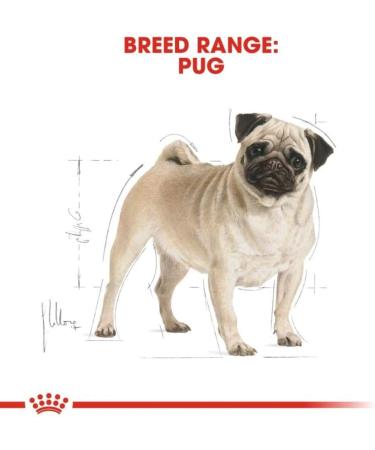 7.5KG Royal Canin Pug Adult Complete Dog Food 7.5 kg (Pack of 1) - Buy Online on GoSupps.com