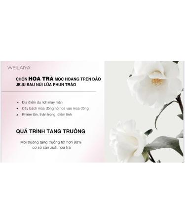 WEILAIYA Body Cream - White Tone-Up with SPF 30 Niacinamide & Glutathione - 200g/7.04FL.OZ | Shop Internationally for Radiant Skin - Buy Online on GoSupps.com