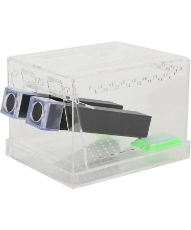 Cricket Cricket Ding Box Feeding Clim Pet Cricket Ding Box Dubia Feed Box SmallFeeding BoxAcrylic Feeding Cricket Keeper Pen with Tubes Cockroach Care Kit Reptile BoxS (L) - Buy Online on GoSupps.com