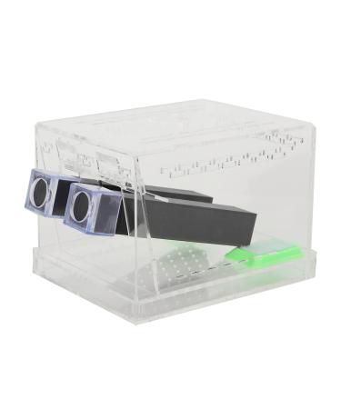 Cricket Pen Acrylic Cricket Feeding Box with Feces Layer Keep Cricket Feeding Neat and Tidy Convenient for Cricket and Pet(L)