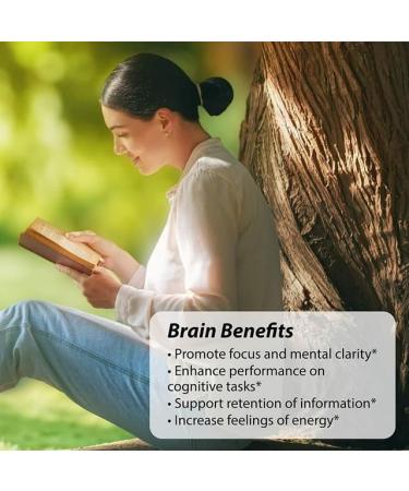 Irwin Naturals Brain Awake Supplement - Cognitive Support & Focus Alpha Brain Memory Support Brain Health & Concentration Formula with L-Theanine Bacopa & MCT's - 60 Liquid Softgels - Buy Online on GoSupps.com