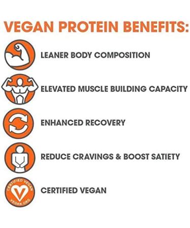 Genius Vegan Protein Powder Shake | Pea + Pumpkin Protein | Lean Muscle Building | Ideal Body Shake for Men & Women | Dairy Free - Buy Online on GoSupps.com
