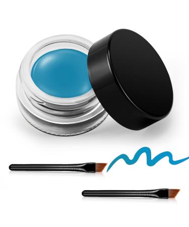 Erinde Gel Eyeliner  Waterproof Long Lasting Cream Eyeliner Gel  High-Intensity Pigments Smudge-Proof Eye Liner Makeup  Eyeshadow Primer Eyeliner with 2PCS Eyeliner Brushes 10 Water Blue