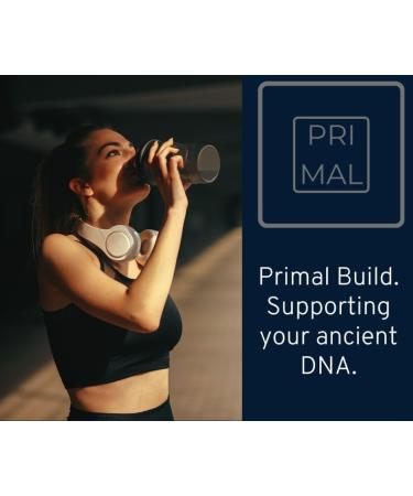 Primal Build Pre Workout Powder - EAA Amino Energy for Men & Women - Maximize Gains & Reduce Muscle Soreness - Citrus Flavor (30 Servings - Buy Online on GoSupps.com