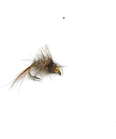 School of Fly Fishing Hares Ear Nymph Fly Assortment - 12 PC Set - Buy Online on GoSupps.com