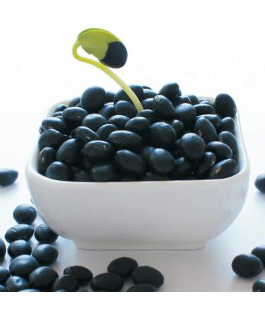 OUYANGHENGZHI Dongbei Hei Dou Peasant Specialty Green Kernel Black Soya Bean Roughage Cereals 250g/8.8oz - Buy Online on GoSupps.com