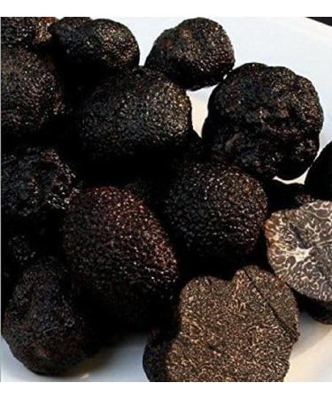 Famous Himalayas Black Whole Truffle dried in Jar 8 ounce (227 grams). - Buy Online on GoSupps.com