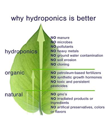 Marlo Bloom Lush Revitalizing Cream | Clean Beauty Anti-Aging Face Cream for All Skin Types | 1.7 oz Dermatologist Tested - Buy Online on GoSupps.com