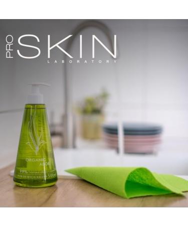Riner 500ml Aloe Extract Dishwashing Detergent - Skin-Friendly Natural Ingredients - 1-Pack - Buy Online on GoSupps.com