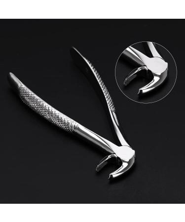 LMEILI Stainless Steel Tooth Extraction Forceps Kit - Dental Surgical Pliers for Adults | International Shipping Available - Buy Online on GoSupps.com