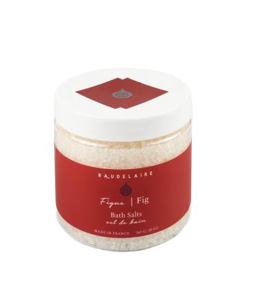 Provence Sante Fig Body Salt  20-Ounce Jar