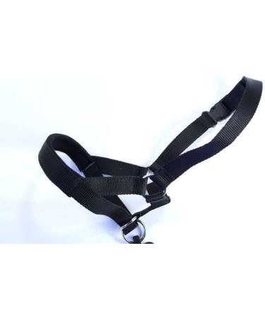 Champion Anti-Pull Training Halter for Dogs - Padded Black | International Shipping Available - Buy Online on GoSupps.com