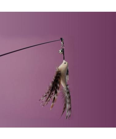 2022 Cat Feather Toy Set - Interactive Kitten Toys with Elastic Wand and Refill Feathers - Indoor Cat Play and Exercise - Buy Online on GoSupps.com