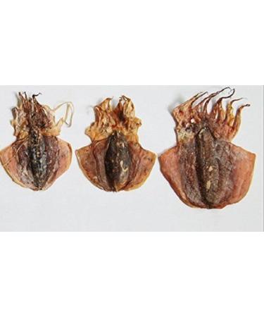 WENJIAXUAN: 3 Pound (1362 grams) Dried seafood small-sized cuttlefish from South China Sea