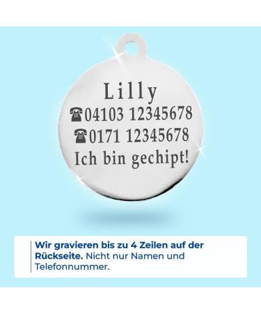 Personalized Ibera Gifts for Medium to Large Cats - Round Shape Cat Collar with Engraved Name & Address | Blue Glitter Design - Buy Online on GoSupps.com