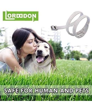 LORDDDON Repellent Dog Collar with Reflectors, Adjustable Design - 8 Months Protection - Small, Medium, Large - Buy Online on GoSupps.com