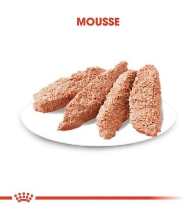 ROYAL CANIN STERILISED Mousse | Pack of 4 | 4 x 12 x 85 g | Complete Food for Adult and Sterilised Dogs from 10 Months of Age | Rich in Digestible Proteins - Buy Online on GoSupps.com