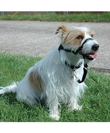 Halti Link One Size Fits All Perfect to use on Headcollar and Optifit Headcollar Dog Harness to Collar Safety Link strap Easy to Use Professional Training Aid for Dogs 1 Count (Pack of 1) - Buy Online on GoSupps.com