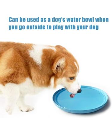 Dog Flyer Toy Dog Flying Disc Pack of 2 (Red+Blue)19CM - Buy Online on GoSupps.com