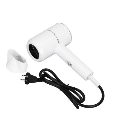 Hair Dryer Negative Ions Blow Dryer Ionic Hairdryer for Home Salon Heat Hot and Cold Wind Constant Temperature Hair Care US Plug 110V
