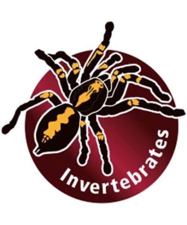 Hobby 36210 Thermometer Hygrometer AHT1 - Buy Online on GoSupps.com