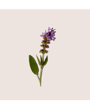 Buy Alqvimia Salvia Sclarea Essential Oil 10ml - Pure Clary Sage International Shipping Available - Buy Online on GoSupps.com