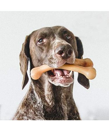 Benebone Wishbone Dog Chew Toy for Aggressive Chewers - Real Chicken Flavor | Large Size - International Shipping Available - Buy Online on GoSupps.com