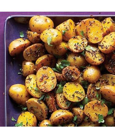 TRS Mustard Seeds | 100G | Mustard Seeds for Cooking |Perfect for Pickling and Spice Blends |Gluten Friendly | Non-GMO | Vegan | Indian Origin (Pack of 2) - Buy Online on GoSupps.com