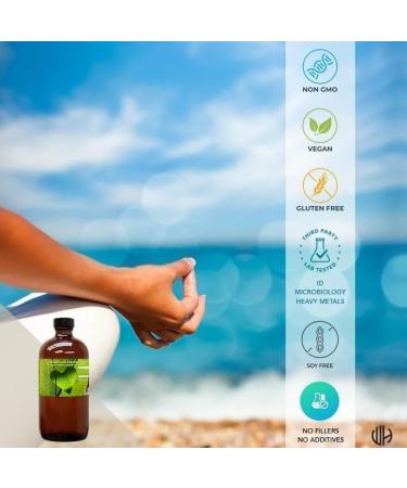 Cat's Claw Herb Tincture Extract 16 oz 16 Fl Oz (Pack of 1) - Buy Online on GoSupps.com