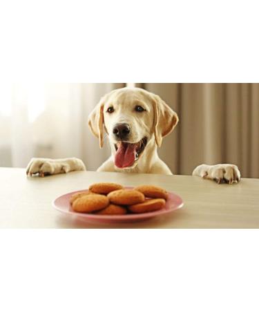 Buy Tjure Dog Pute 320ml - Premium Quality Pet Care | International Shipping Available - Buy Online on GoSupps.com