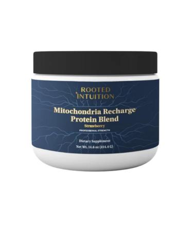 Rooted Intuition Mitochondria Recharge Protein Blend - Strawberry Energy & Antioxidant Drink Mix with Alpha-Lipoic Acid NAC & Acetyl L-Carnitine | Plant Protein | Non-GMO Gluten Free | 14.6 oz