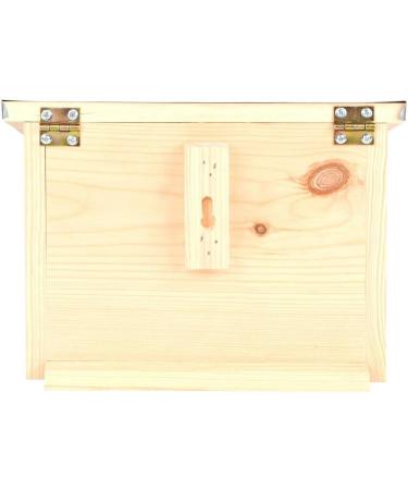 Fallen Fruits WA56 OBSERVATION Squirrel Feeder Brown - Buy Online on GoSupps.com