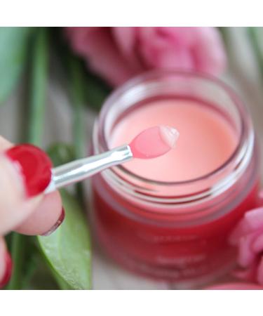 12 Silicone Lip Brushes - Exfoliating Tool & Moisturizer for Smooth Plump Lips (Pink) - Buy Online on GoSupps.com