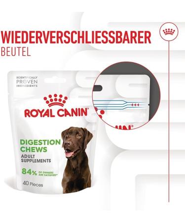 ROYAL CANIN Digestion Chews Adult Supplements | Pack of 3 | 3 x 160 g | Supplementary Feed for Adult Dogs | To Support Normal Digestion and Intestinal Flora - Buy Online on GoSupps.com