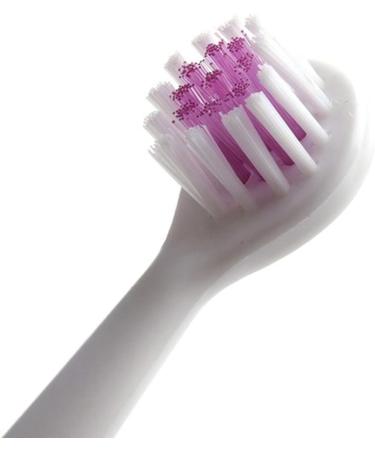 Buy Electric Massage Toothbrush for Adults - 3 Replacement Heads with Hard Bristles | International Shipping - Buy Online on GoSupps.com