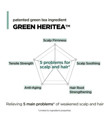 AMOS PROFESSIONAL The Green Tea Volume Mist | Root Lifting & Volumizing for Fine Hair Korean Hair Styling Spray Texturzing Spray 4.7 fl. Oz - Buy Online on GoSupps.com