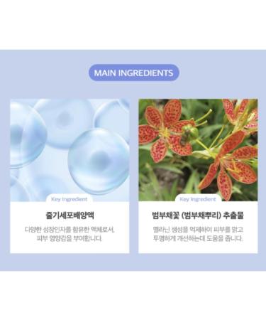 Cell Bloom Leopard Refresh Toner 3.38 Fl.oz | Korean Skincare Toner | Soothes & Replenishes Skin | 5 000ppm 3D Stem Cell Cultured - Buy Online on GoSupps.com