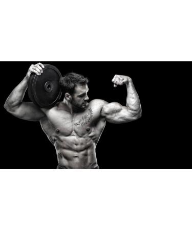 Buy Creatine Tri-Phase - 3X Formula for Muscle Enhancement | Pre & Post Workout Supplement | Monohydrate Powder & Pills - 180 Tabs - Buy Online on GoSupps.com