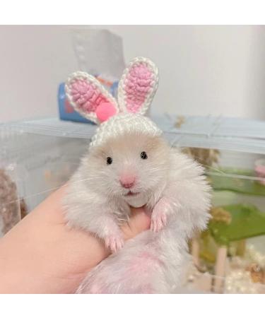 Nopikku 3Pcs Tiny Top Hats for Small Pets - Perfect Costume Accessories for Hamsters, Rats, Snakes, Lizards, Guinea Pigs - Ideal for Holiday Parties - Buy Online on GoSupps.com