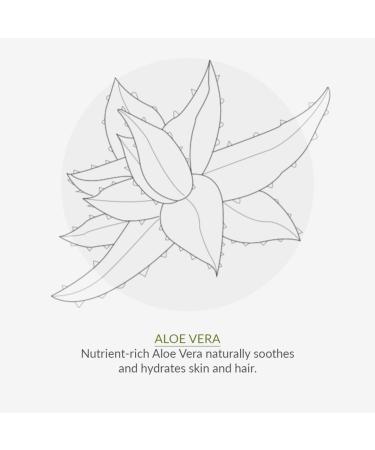 Green People Organic Children Spearmint & Aloe Vera Toothpaste 50ml - Natural & Safe for Kids | Fluoride & SLS Free | Mint Flavor Toothpaste - Buy Online on GoSupps.com