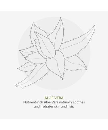 Green People Conditioner for Irritated Scalp 200ml - Natural & Organic Silicone-Free Vegan Hair Care for Greasy Hair - Soothes Itchy Scalp Animal Test-Free - Buy Online on GoSupps.com