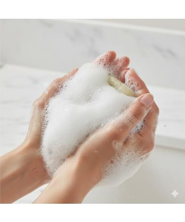 Organic Rice Bran Soap with Natural Loofah - 110g - Exfoliating & Brightening Body Scrub for Glowing Skin - Handmade Vegan Soap for Dark Spots - All Skin Types - PACK OF 2 - Buy Online on GoSupps.com