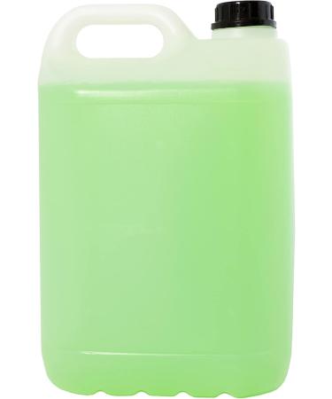 Desmabel Pomegranate Essence Family Shampoo Carafe Shampoo Professional Hairdressing Shampoo Paraben Free Ph 5.5 Daily Use. Gentle Formula 5000 ml - Buy Online on GoSupps.com