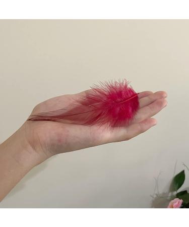 100pcs Red Rooster Saddle Hackle Feathers 5-7 Inch for Crafts & Jewelry Making - Buy Online on GoSupps.com