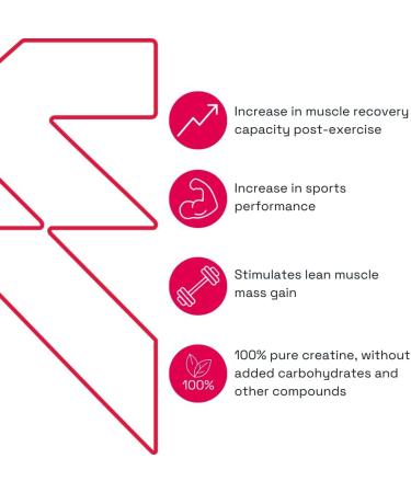 EVERNA CREATINE MONOHYDRATE 100% Pure (Pack) | 21.16oz | 200 Servings | 600G - Buy Online on GoSupps.com