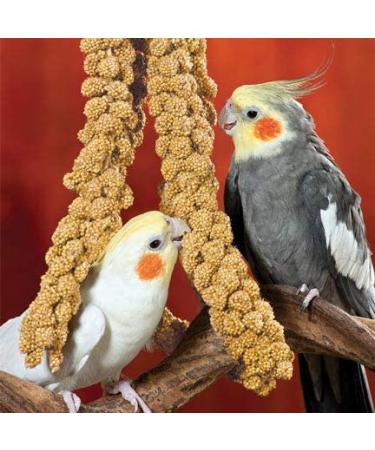 Nemeth Farms Spray Millet: GMO-Free Bird Treat & Supplement 1lb - No Stems, Only Edible Tops for Parakeets, Cockatiels, Lovebirds & Finches - Buy Online on GoSupps.com