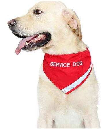 Doggie Stylz Reflective Service Dog Bandana with Matching Collar | Red XS (Neck 8-12) | Secure, Safe, and Stylish for Nighttime Walks - Buy Online on GoSupps.com