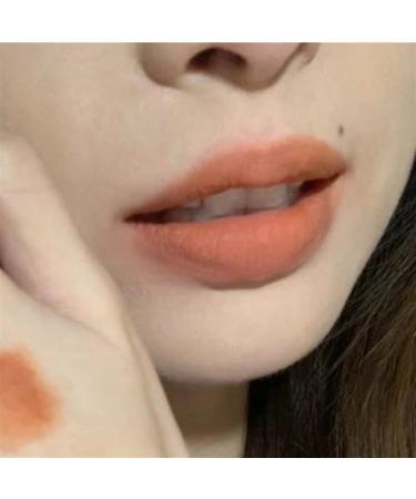  BADALO Velvet Mist Water Mist Lip Mud Soft Silky Matte Vegan White Lip Gloss Non-stick Lip Glaze Lipstick (Color : 2 Smoked Chestnut) - Buy Online on GoSupps.com