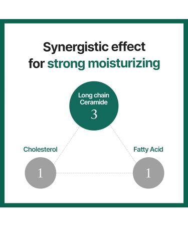 Buy Daily Cream 1.69oz - 3 in 1 Moisturizer for Sensitive & Dry Skin | Korean Skincare with Ceramide & 6 Peptides - Buy Online on GoSupps.com