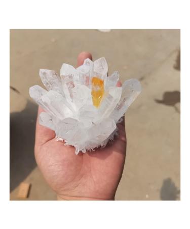 Natural Crystal Rough Natural Clear Quartz & Yellow Quartz Cluster Decoration White Crystal Cluster Column Point Resistant (Size : 800-900g)